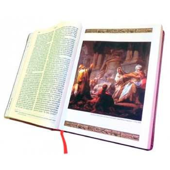 Bíblia Ilustrada Luxo - Grande - Marrom